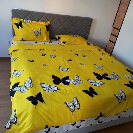 Casa Dana Apartment Sibiu Bagian luar foto