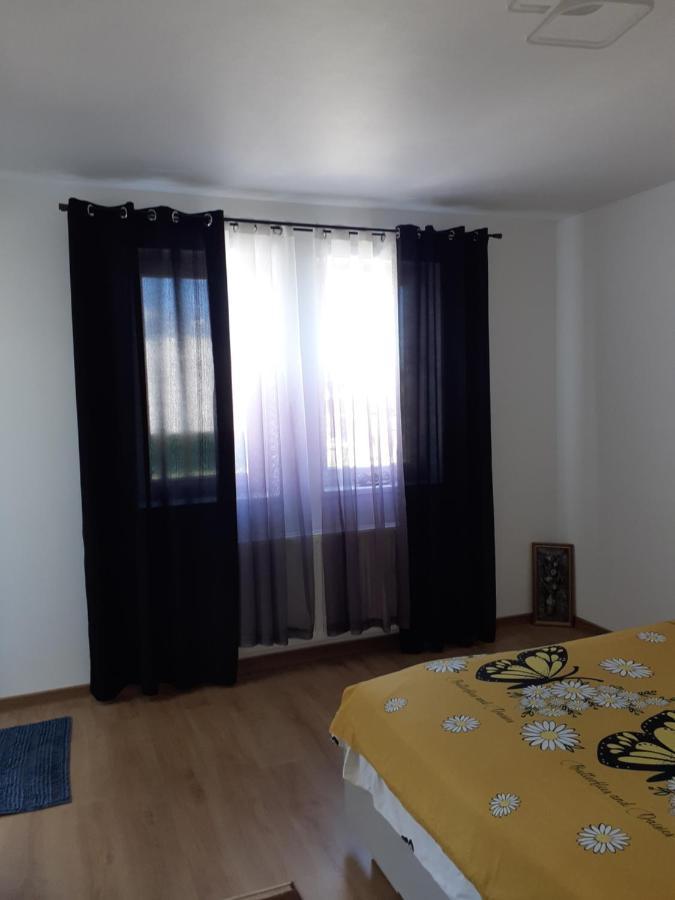 Casa Dana Apartment Sibiu Bagian luar foto